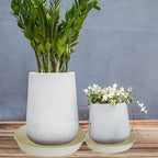 3 Pack of 25 26 inch Plant Saucer, 4.2" Depth, Large Deep Plastic Flower - Image 5