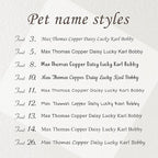 Anavia Slide On Silent Pet ID Tags, S/M/L/XL Personalized Black Stainless Steel - Image 4