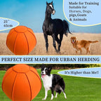 Herding Ball for Dogs, Dual Layered Herding Dog Ball Set for Australian Shepherd - Image 5