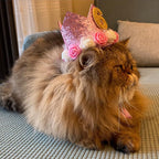 Pet Crown Dog Birthday Hat Reusable Birthday Party Crown Girl Cat Doggie - Image 8
