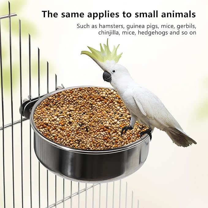 2 Pcs Medium Bird Feeding Dish Cups, Parrot Food Bowl Cage - Image 4