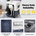 Elevon Plastic Kennels, Plastic Dog Crate, Airline Approved Pet Carrier - Image 3