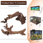 majoywoo Natural Large Coral Driftwood - Image 3