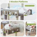Maine Coon Cat Tree, Heavy Duty Cat Tree - Image 2