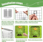 5 Packs Garden Plant Protectors from Animals, Metal Plant Cage Chicken Wire - Image 4