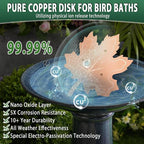 99.99% Pure Copper Bird Bath Disk, 2 Pack 0.6mm Maple Leaf Bird Bath - Image 3