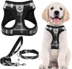 PUPTECK Adjustable Dog Harness Collar and Leash Set Step in No Pull Pet Harness by PUPTECK