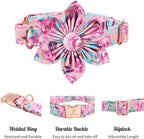 Lionheart Glory Dog Collar, Cute Floral Pattern Pet Collar Adjustable Dog Collar - Image 3
