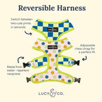Lucy & Co. Lime Green with Blue Checker Smiley Faces, Cute Reversible Dog - Image 2
