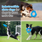 Indestructible Dog Chew Ring Toys - Image 6