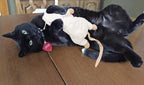 SPOT Super Mouse Sam with Catnip - Image 4
