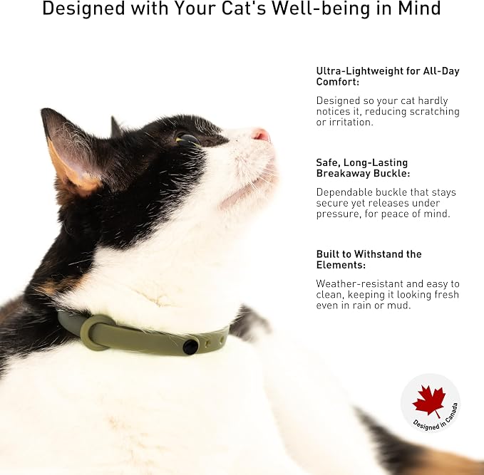 Breakaway Cat Collar - Image 4