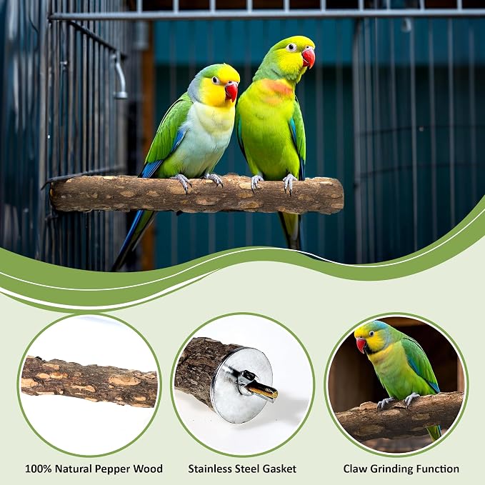 8pcs Bird Perches for Cage, Natural Wood Bird Perch for Parakeet/Cockatiel - Image 3