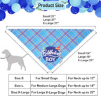 ADOGGYGO Dog Birthday Party Supplies, Party Hat - Image 4