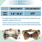 Breakaway Cat Collars - Image 2