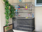 ISMARTEN Bird Cage Seed Catcher, Airy Gauze Bird Cage Cover Seeds Guard - Image 6