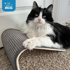 Best Pet Supplies Catify Cat Scratcher, Fun Interactive Scratchers, Claw Safe - Image 6