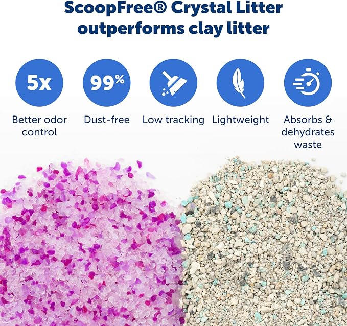 PetSafe ScoopFree Disposable Crystal Cat Litter Tray - Image 4
