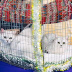 Jetec 2 Pack Cat Hammock for Cage, Catio Accessories Reversible Soft Cats Bed - Image 5