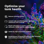 Brightwell Aquatics MicroBacter Clean - Image 4
