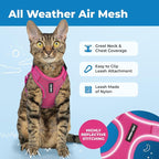 Voyager Escape-Proof Step-in Lock Cat Harness & 5ft Neoprene-Handle Leash Set - Image 3