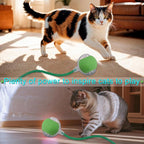 Interactive Cat Dog Toy Ball: Indoor Small Automatic Moving Smart Rolling Fun - Image 8