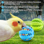 2 Pcs Parrot Feeder Chew Toy Balls, Bird Foraging Interactive Toys, Suitable - Image 4