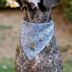 Disney Pet Bandana Winnie The Pooh Balloon Pose and Foliage Collage Slip On - Image 5