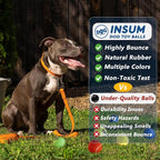 Squeaky Tennis Balls for Dogs - Image 6