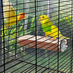 Niteangel Parrot Cage Perch, Wooden Platform - Image 6
