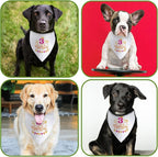It's My 3rd Birthday Dog Bandana Happy 3rd Birthday Pet Triangle Scarf - Image 4
