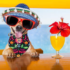 Whaline Mexican Dog Bandana Floral Dog Bandana Cinco De Mayo Fiesta Pet Scarf - Image 5