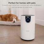 Shark Air Purifier for Home, Clean Sense, for Bedroom, Home Office, - Image 3