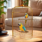 REHALY Large Bird Perch Stand, Paw Grinding Forks, Stand & Toys - Image 8