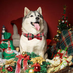 Christmas Plaid Dog Collar - Image 6