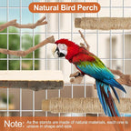 Bird Perch Stand, Pole Standing Natural Wood Bird Perch Set 5PCS Paw Grinding - Image 4