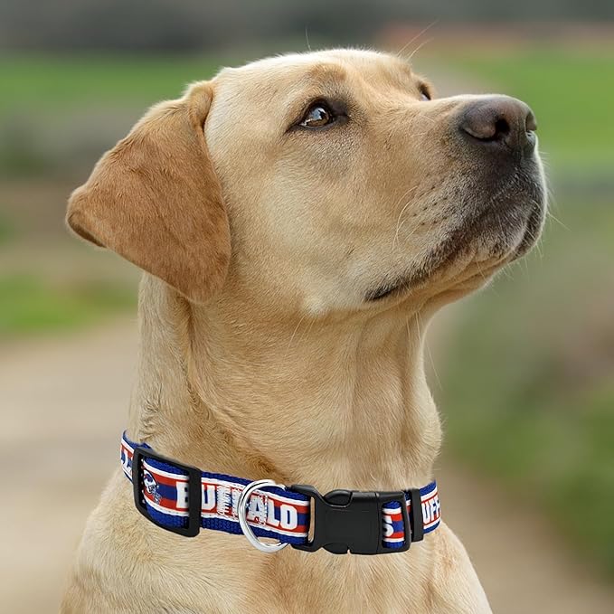 New & Improved Pets First NFL Licensed PET Collar- Heavy-Duty, and Durable New - Image 5
