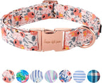 Unique Style Paws Pink Rose Collar Metal Buckle Dog Collar Flower Gift Durable by Uniquestylepaws