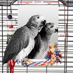 Colorday 9" Bird Mirror with Rope Perch, Bird Swing, Parrot Cage Toys by Colorday