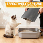 Pieviev 2 Packs Cat Litter Mat Double Layer Waterproof Urine Proof Trapping Mat - Image 3