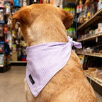 ARING PET Summer Dog Bandana-Cute Lavender Dog Bandanas, Comfortable Pet Scarf - Image 5