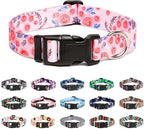 Mercano Adjustable Dog Collar by Unknown