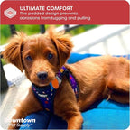 Downtown Pet Supply Step-in Dog Harness – No Pull, Adjustable Padded Mesh - Image 6