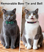 Joytale Upgraded Cat Collar - Image 2