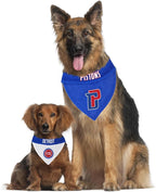 Pets First NBA Dog Bandana - Image 5