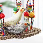 Large Bird Swing Toys, Colorful Parrot Seagrass Mat Hammock - Image 3