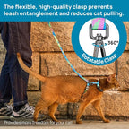 Cat Harness and Leash Set - Image 5