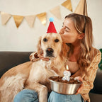 12 PCS Mini Party Hats for Stuffed Animals Birthday Felt Cone Hat - Image 6