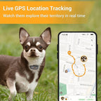 Pawfit Lite for Small Dogs 4g GPS Tracker | Real Time Tracking | Activity - Image 2