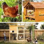 Arc-Shaped Chicken Swing Heavy Beech Wood Chicken Toys - Image 5